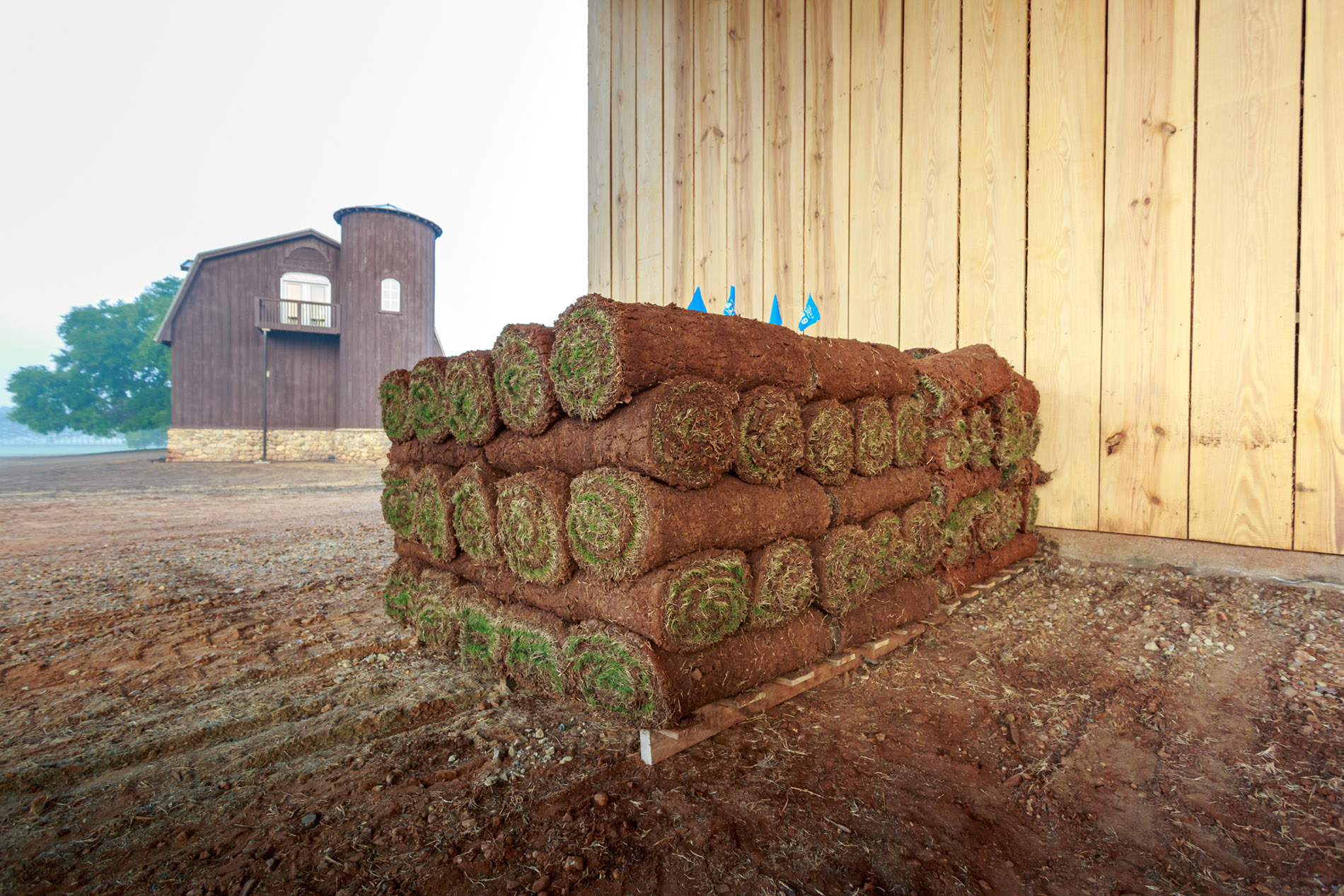 A pallet of Bermuda Tifway 419 Sod freshly cut on our Georgia Sod Farm