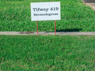 Legacy 1st Location 160 of 177-small-2