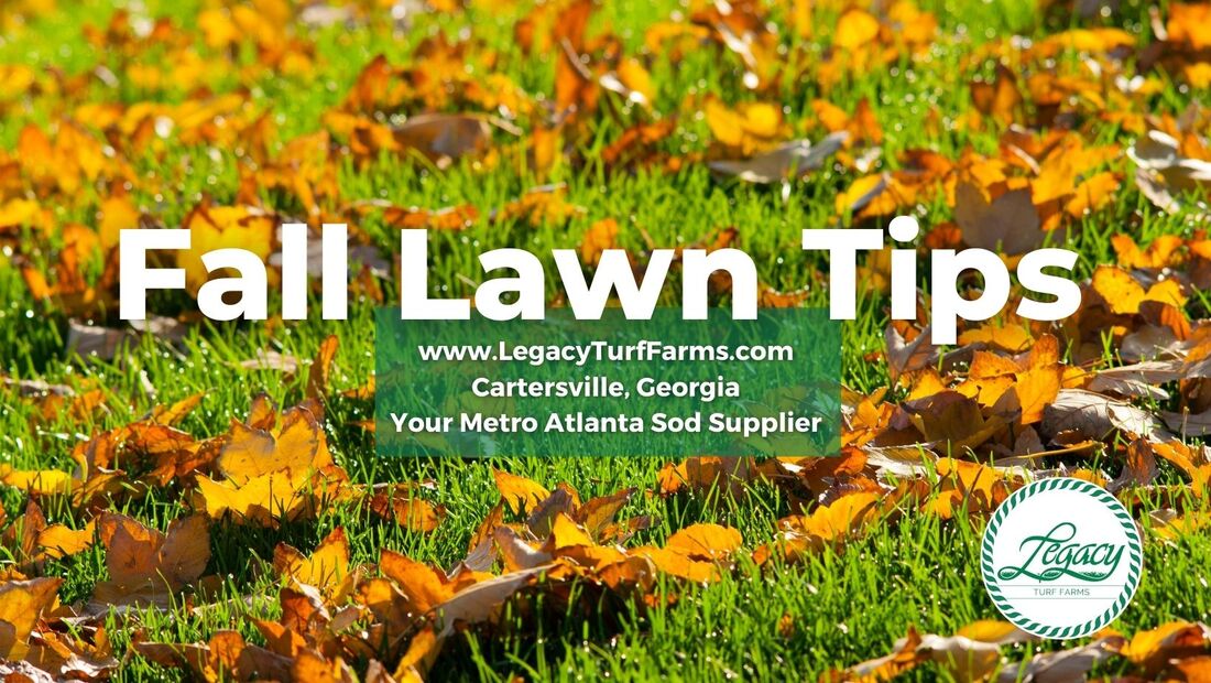 Featured image for “Fall Lawn Tips”