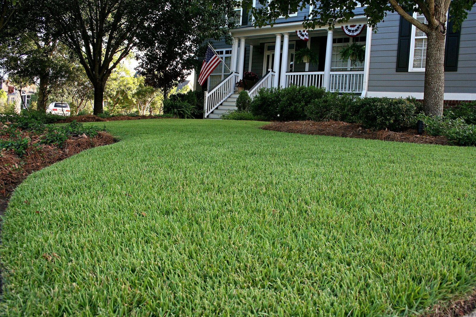 Freshly sodded Georgia yard with a perfect green yard framed in green trees