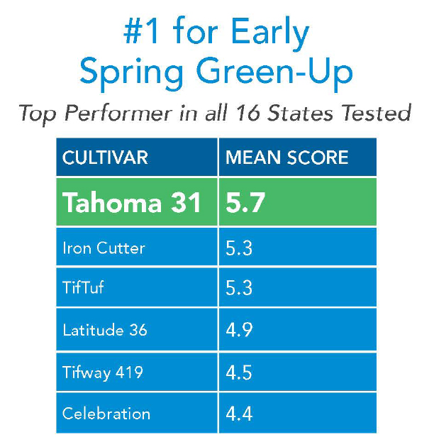 Tahoma 31 Bermudagrass is number 1 for early spring green up