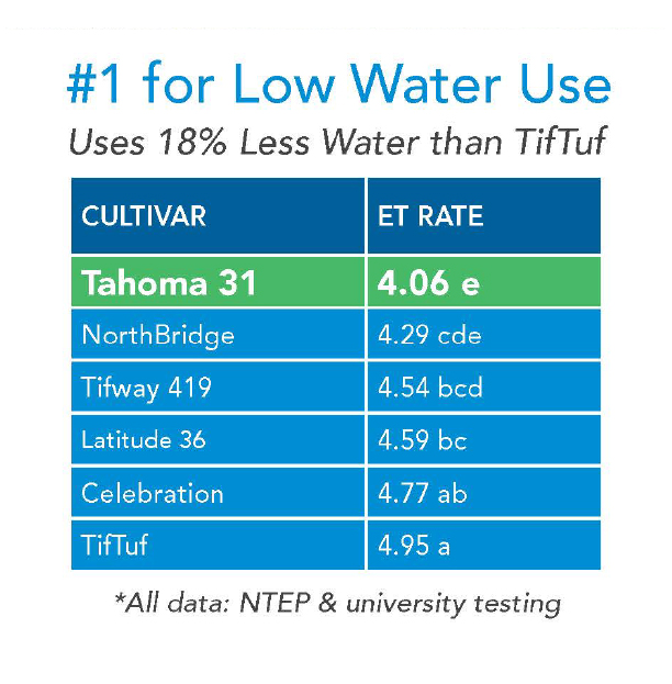 Tahoma 31 Bermudagrass is number 1 for low water use