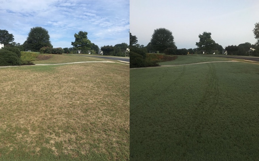 Before and after of a newly sodded lawn