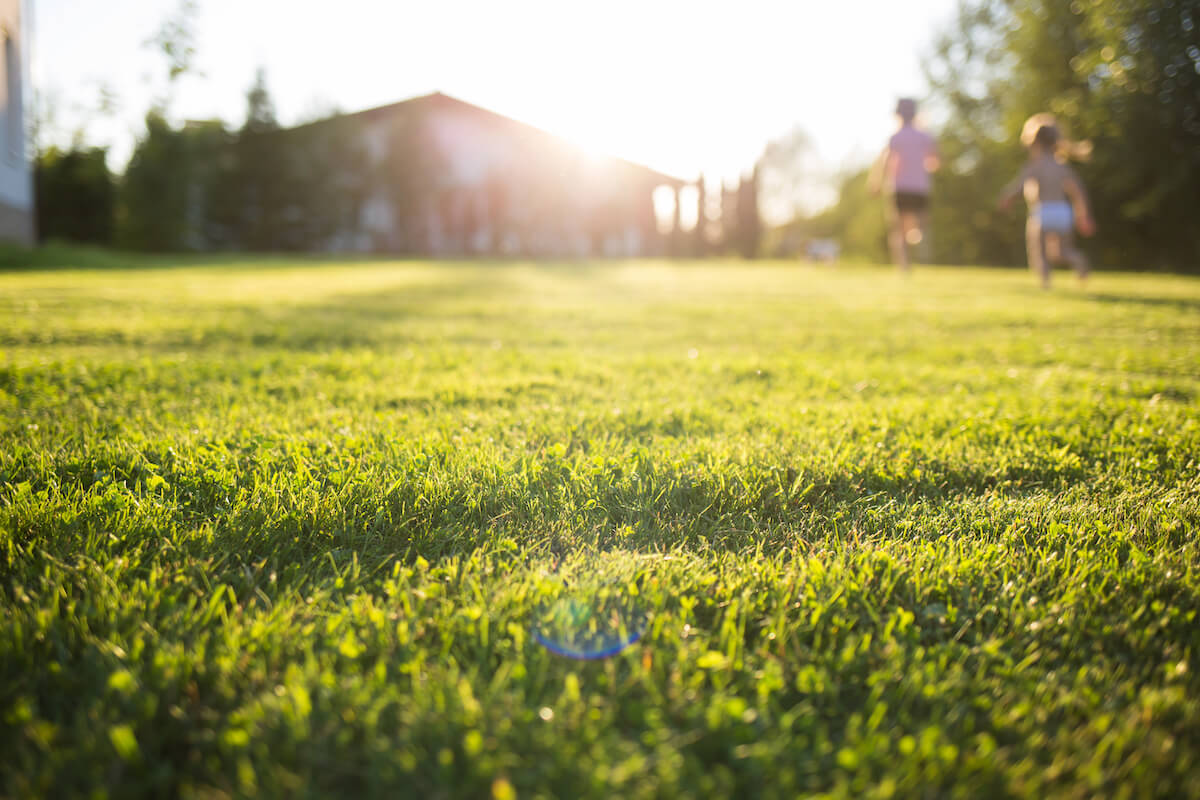 Featured image for “Heat Stress in Warm Season Lawns”