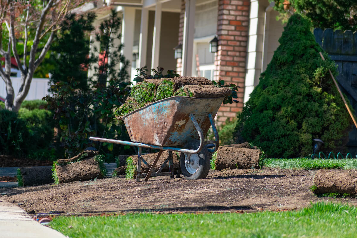 Featured image for “How to Measure Your Yard for Sod”