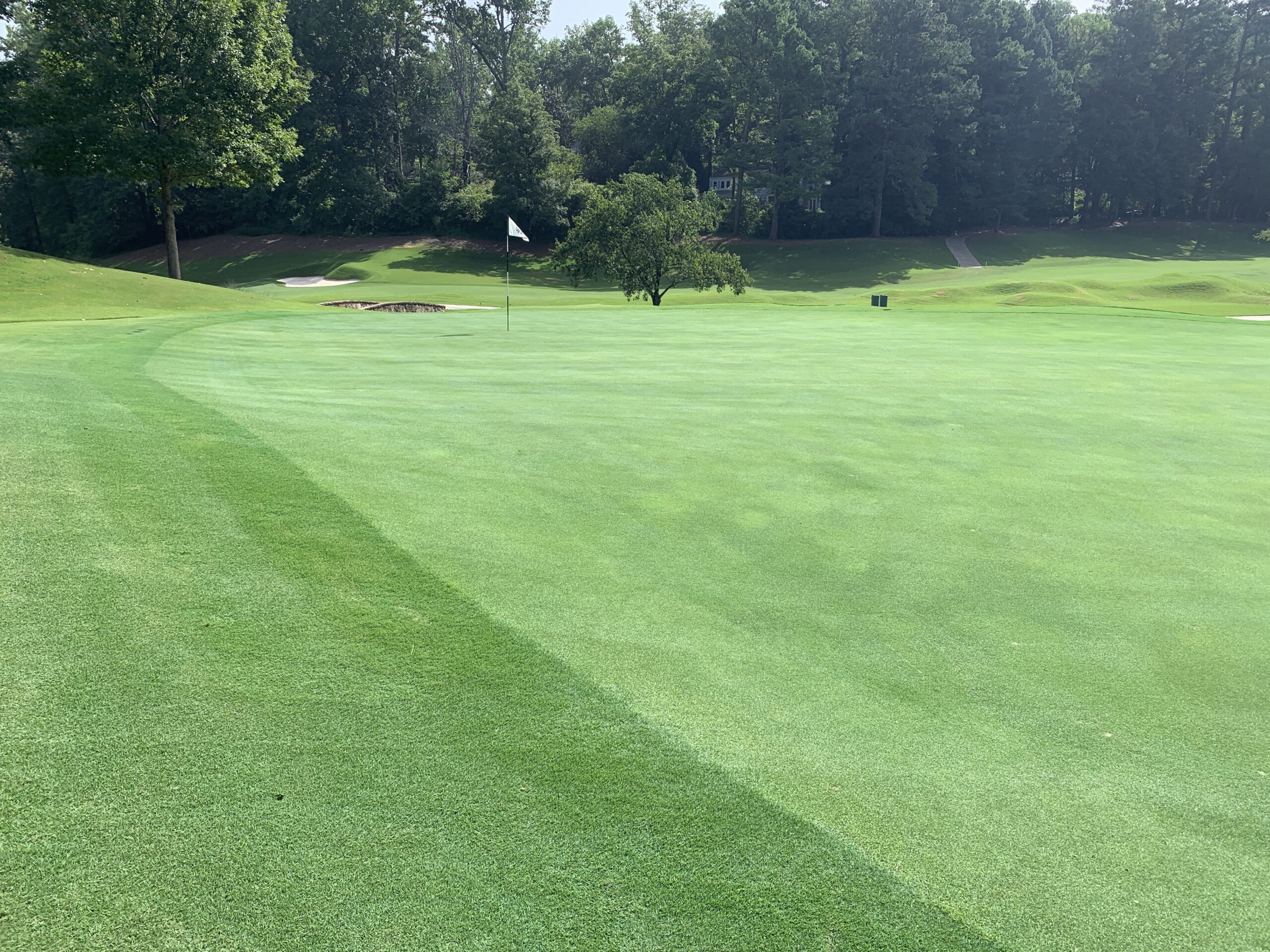 Featured image for “Tahoma 31: A Game-Changer for Golf Courses in All Four Seasons”